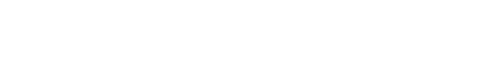 light logo